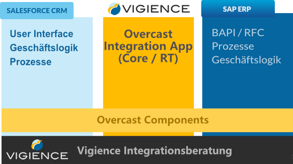 Vigience integration consulting services by the SAP-Salesforce experts