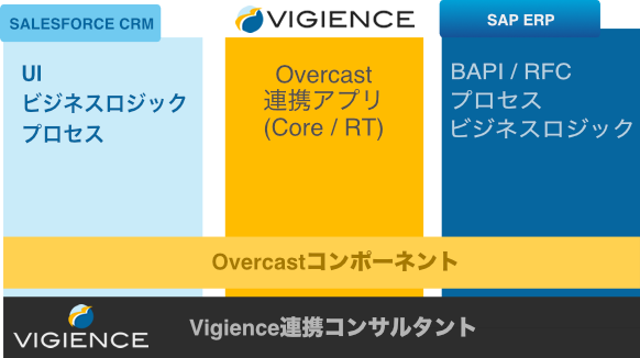 Vigience integration consulting services by the SAP-Salesforce experts