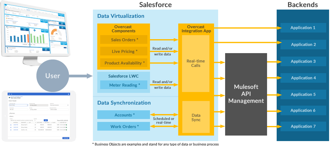 Mulesoft Customers