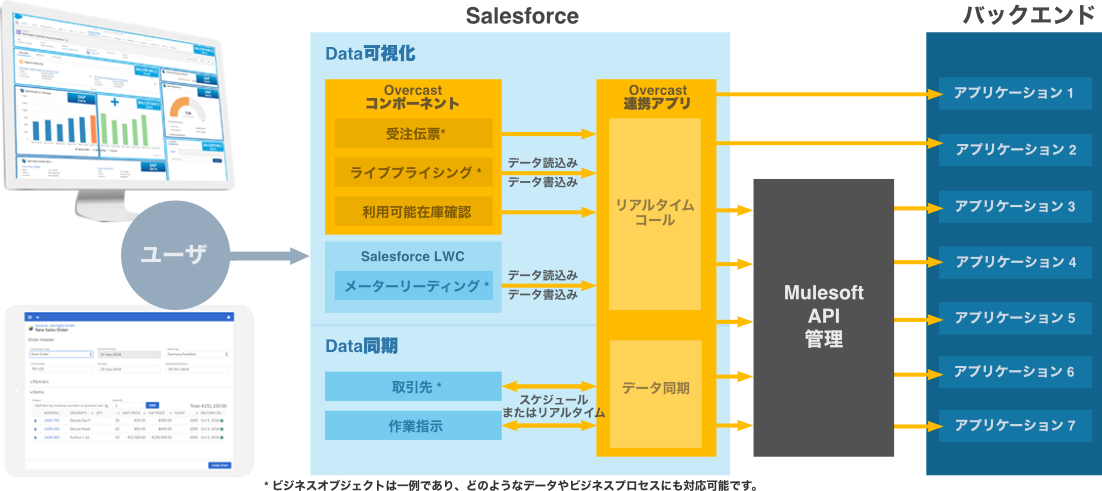 Mulesoft Customers