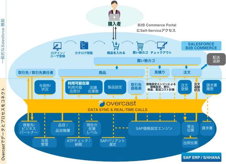 Vigience Overcast SAP-Integrated Commerce Cloud Solution