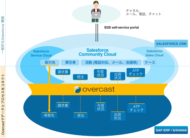 Vigience Overcast SAP-Integrated Self-Service Portals Solution